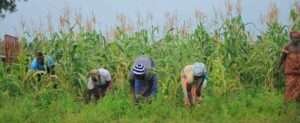 African Development Bank AgriPitch