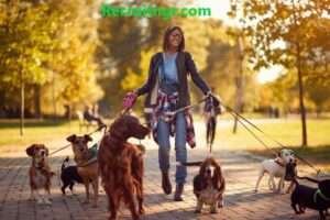 Dog Walker Jobs in USA with Visa Sponsorship