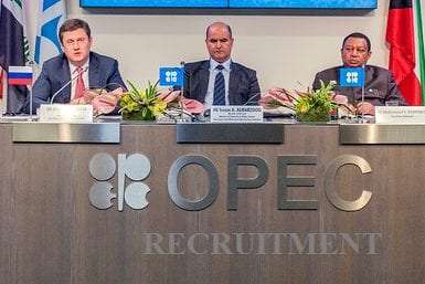 OPEC Recruitment