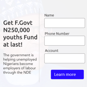 ₦250,000 FG Loan by NDE Begins
