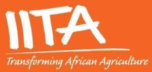 IITA Salary Structure