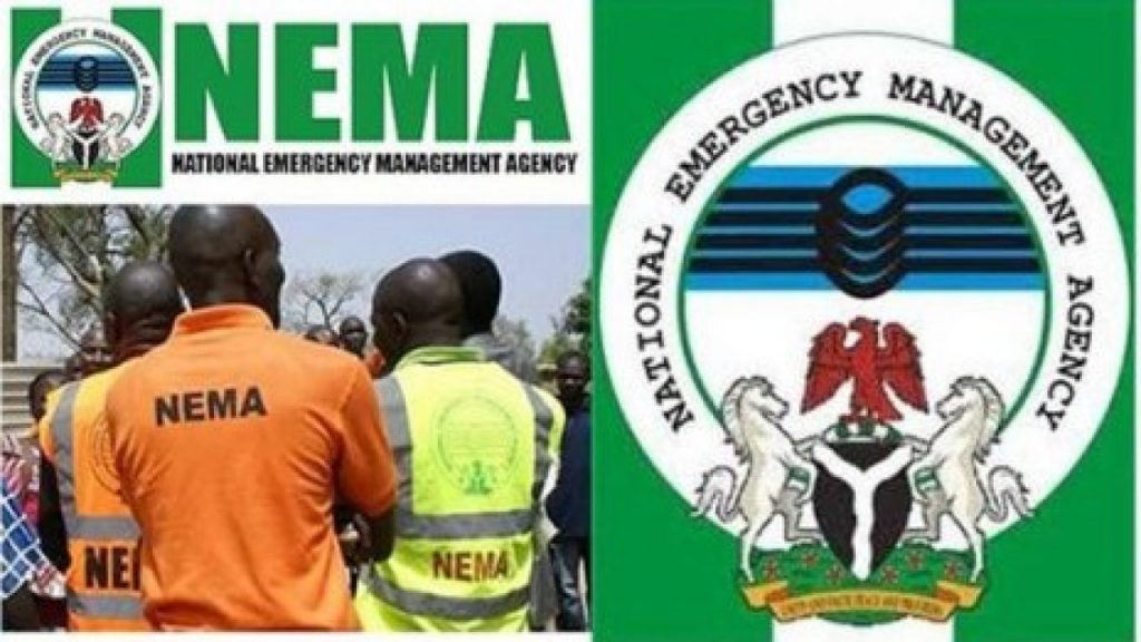 NEMA shortlisted candidates