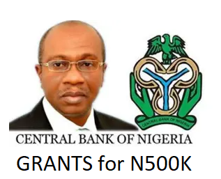 CBN N500k Grants – Portal Reopen