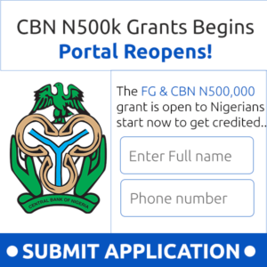 ₦250000-₦500000-naira-youth-loan-submit-application