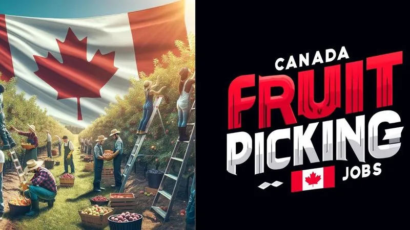 canada-fruit-picking-jobs-may-2024