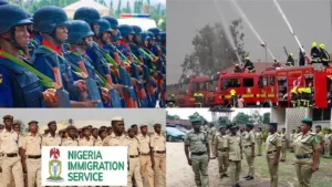 Step-by-Step guide to apply for civil defence, immigration, correctional and fire service recruitment